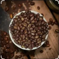 استخدام نیروی خانوم