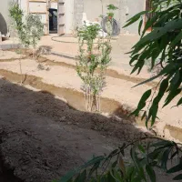 باغ ۵۰۰ متری