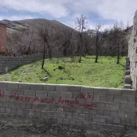 محله زشک ۲۰۰۰ مترباغ مشارک بمگردی