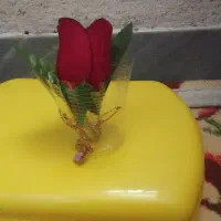 گردنبند نو به فروش میرسد