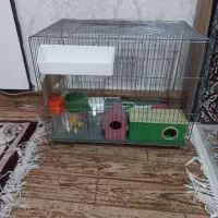قفس پرنده