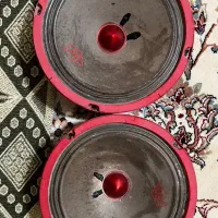 فروش باند و ضبط