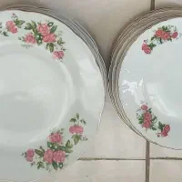 دودست پلوخوری یک دست میوه خوری