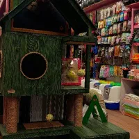 پامر  پت شاپ شعبه 1