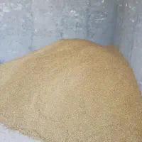 خرید جو گندم به قیمت مناسب
