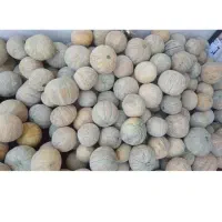 خریدار طالبی و جانا