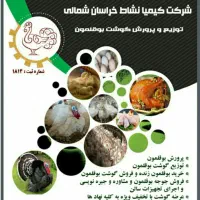 نیازمند نیروخانم مجرب باروابط عمومی بالا