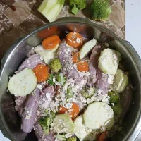 غذای خانگی گربه و سگ