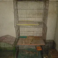 قفس پرنده