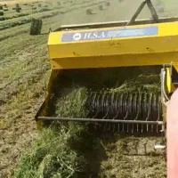 پرس کردن کلش ویونجه