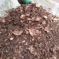 خاک برگ خاک کود جنگلی ارگانیک