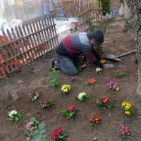 امور باغبانی کودهی هرسکاری چمن زنی تعویض خاک گلدان