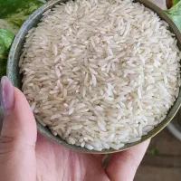 برنج هاشمی آستانه اشرفیه