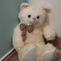 عروسک خرسی بزرگ