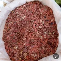 خرید و فروش تخم خربزه و هندوانه محلی
