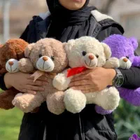 عروسک|اسباب‌‌بازی|تالش, هشتپر|دیوار