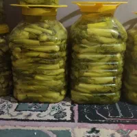 ترشی بیلهر دست چین