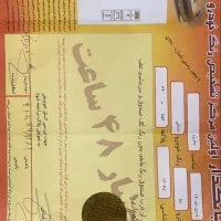 فروش دنااتومات آپشنال