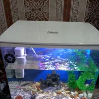 آکواریوم با وسایل
