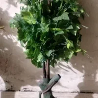 درخچه|گل مصنوعی|زاهدان, |دیوار