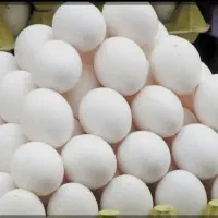 استخدام فروشنده