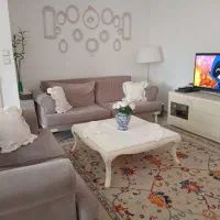 فرش دستباف سلطان آباد پشم دستریس