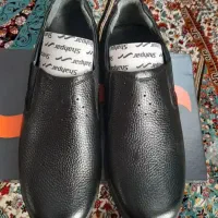 کفش شهپر
