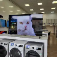 جشنواره جام جهانی فروش تلویزیون