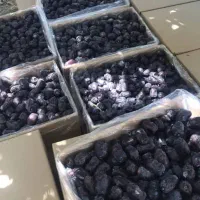 خرمای مضافتی بار امسال