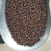 مرکز پخش قهوه اراک