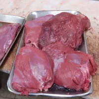 گوشت تازه و گرم گوساله و تلیسه به قیمت کشتارگاه