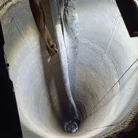 حفرچاه