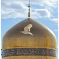 تور مشهد ریلی /هوایی
