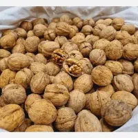 گردو تویسرکان