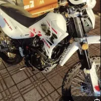 تریل روان ،نیوفیس،