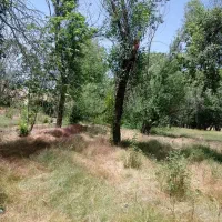 فروش-باغ-شهری-منطقه-روستایی
