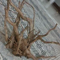 چوب آبنوس اصلی