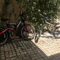 دوچرخه در حد نو فروشی.