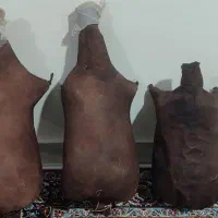 مشک پوستی