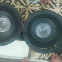 صوتی|صوتی و تصویری|پرند, فاز ۶|دیوار