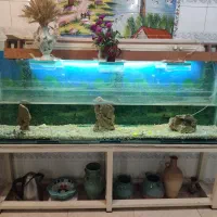 اکواریوم 10میل