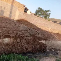 کودگاوی|خدمات باغبانی و درختکاری|بجنورد, |دیوار
