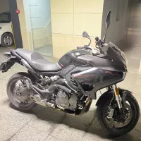 بنلی 600gt gsxr موتور cb1300 mt9|موتورسیکلت|تهران, سعادتآباد|دیوار