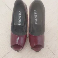 کفش مجلسی