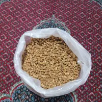 توت سیاه هوراند قره داغ