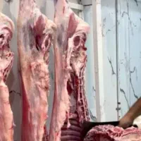 استخدام قصاب حرفه ای، فروشنده و خدمات بسته بندی