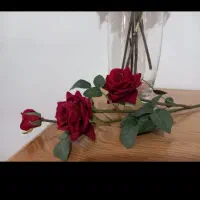 گل رز ۶ شاخه
