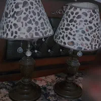 آباژور. شب خواب پلنگی زیبا