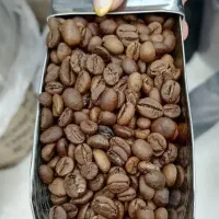 پخش قهوه ، پودری جات ، شکلات