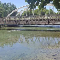 باغ مثمر و مشجر باغبادران